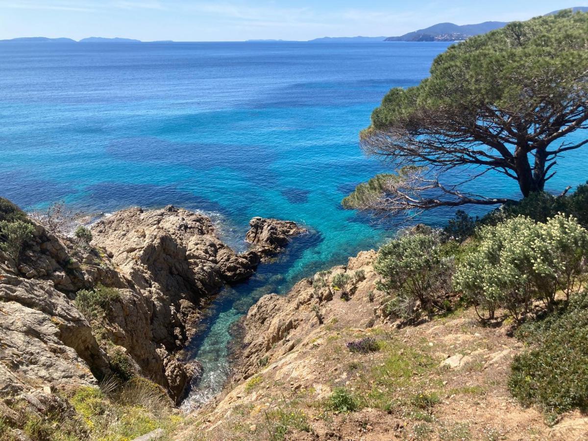 Le Petit Vue Mer La Croix-Valmer Eksteriør billede